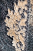 _MG_7340